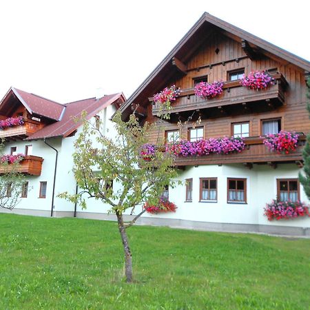 Pension Thorerhof Haus im Ennstal Ngoại thất bức ảnh