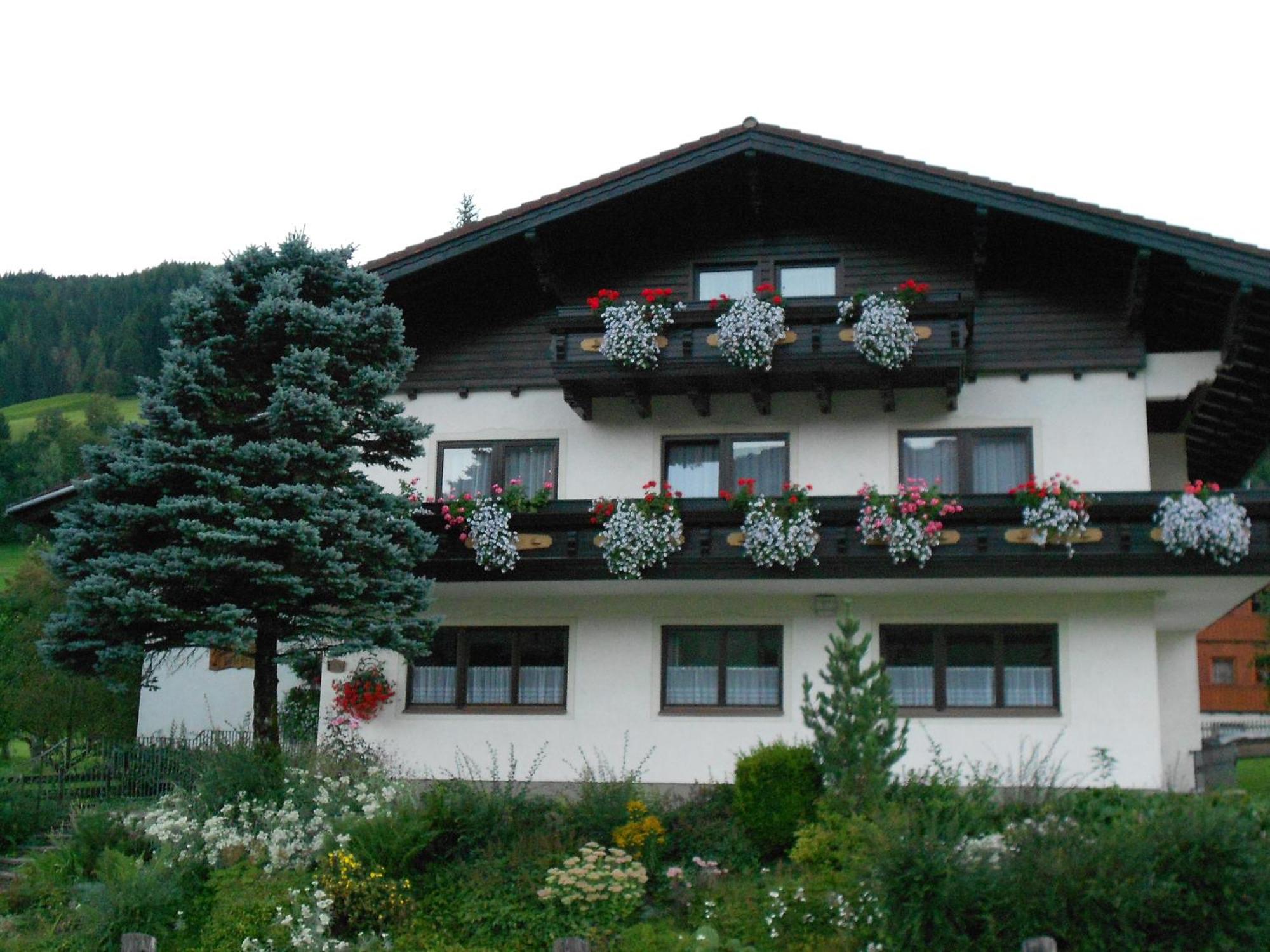Pension Thorerhof Haus im Ennstal Ngoại thất bức ảnh